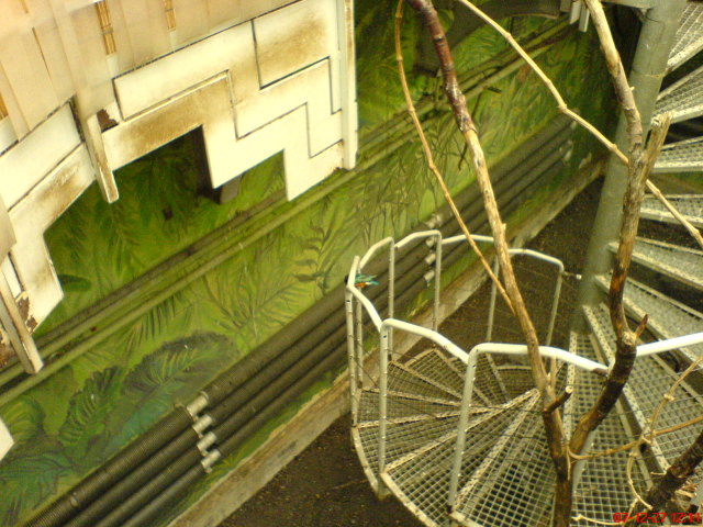 Scaled image dsc05606.jpg 