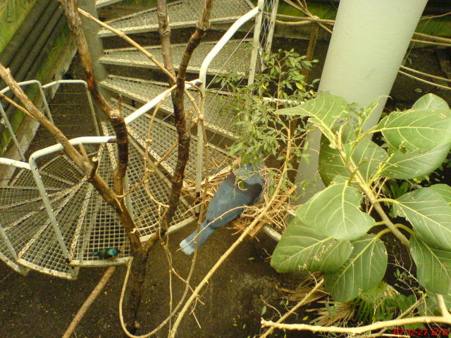 Scaled image dsc05607.jpg 