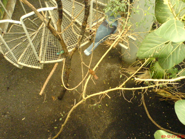 Scaled image dsc05608.jpg 