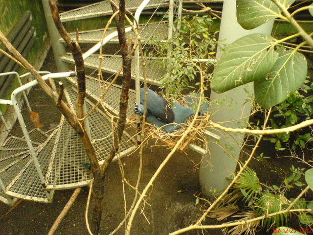 Scaled image dsc05609.jpg 