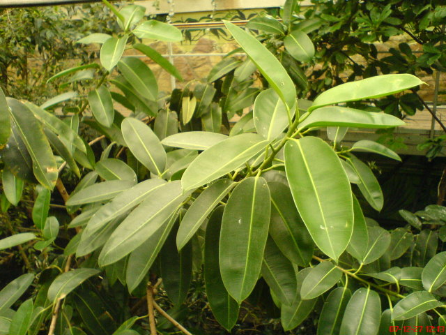 Scaled image dsc05610.jpg 