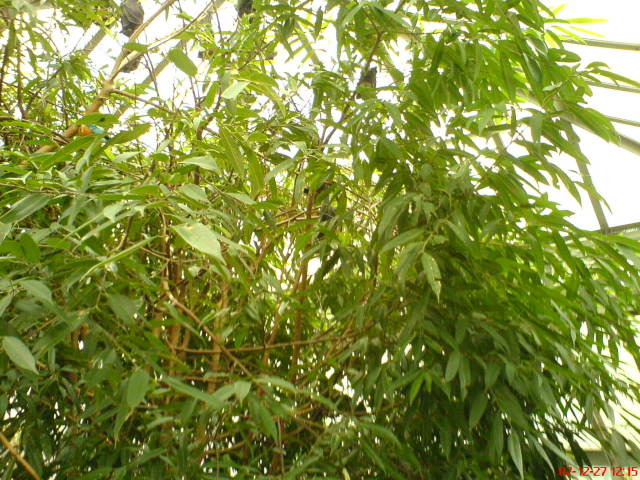 Scaled image dsc05613.jpg 