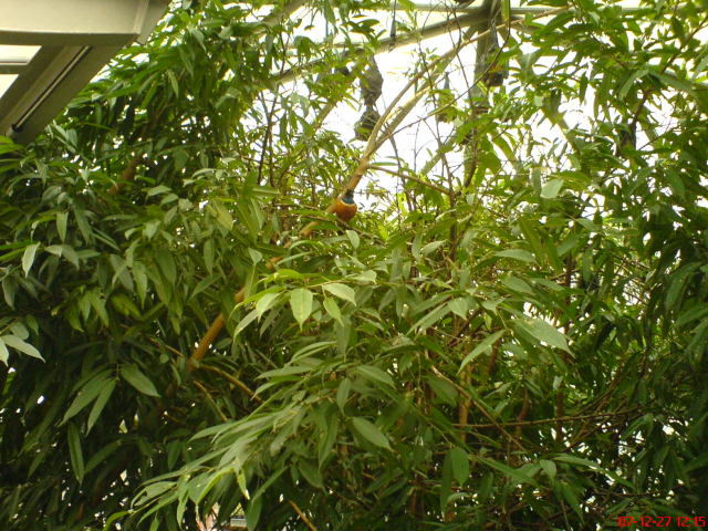 Scaled image dsc05614.jpg 