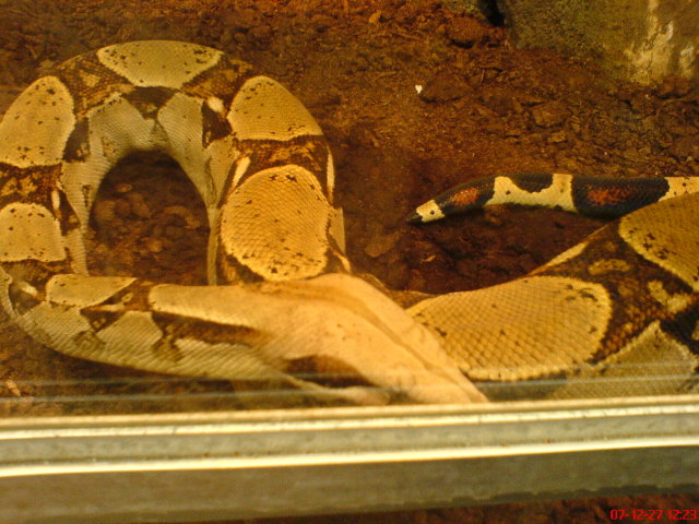 Scaled image dsc05615.jpg 