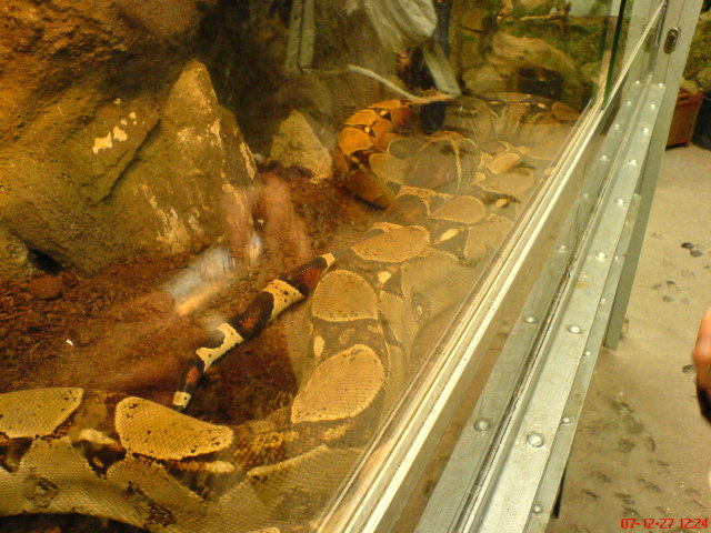 Scaled image dsc05616.jpg 