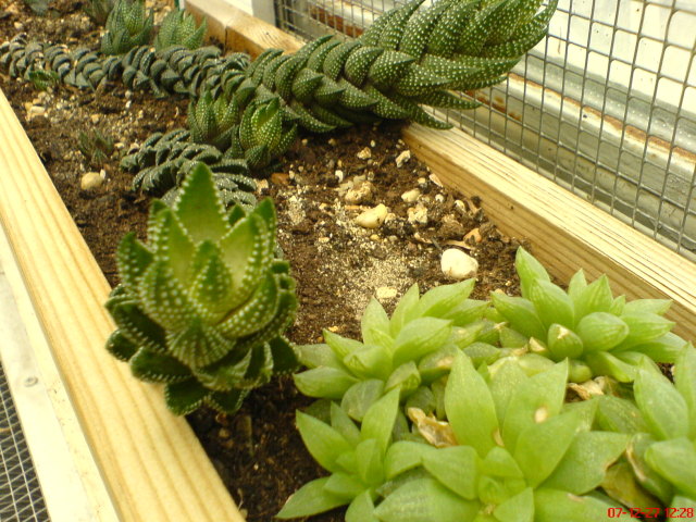 Scaled image dsc05621.jpg 