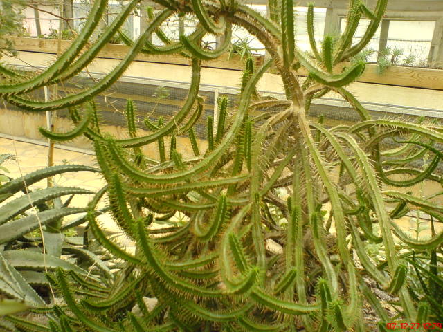 Scaled image dsc05624.jpg 