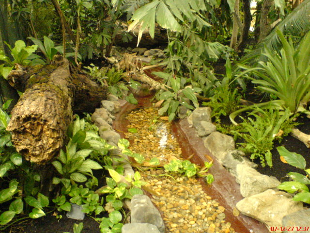 Scaled image dsc05627.jpg 