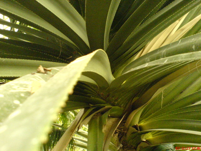 Scaled image dsc05629.jpg 