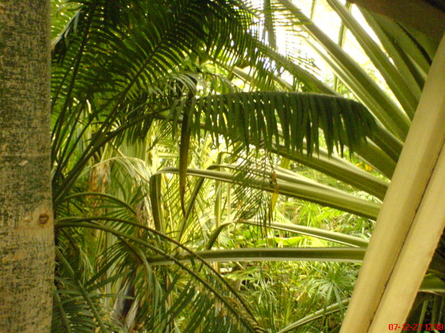 Scaled image dsc05630.jpg 