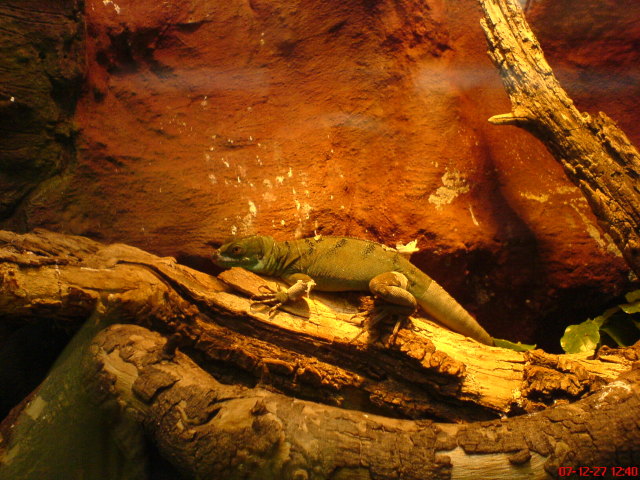 Scaled image dsc05633.jpg 