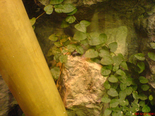 Scaled image dsc05635.jpg 