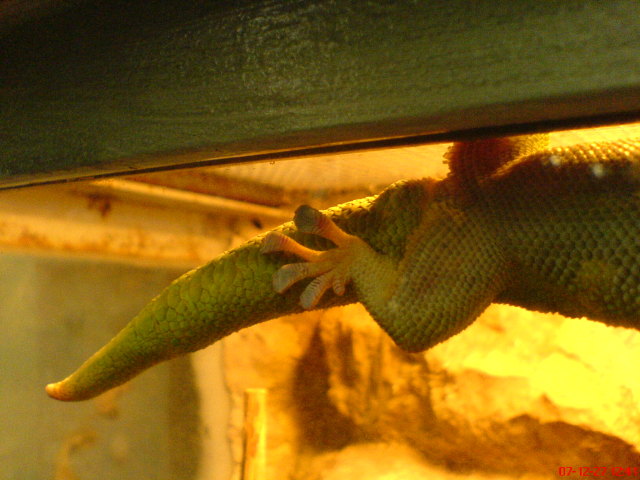 Scaled image dsc05638.jpg 