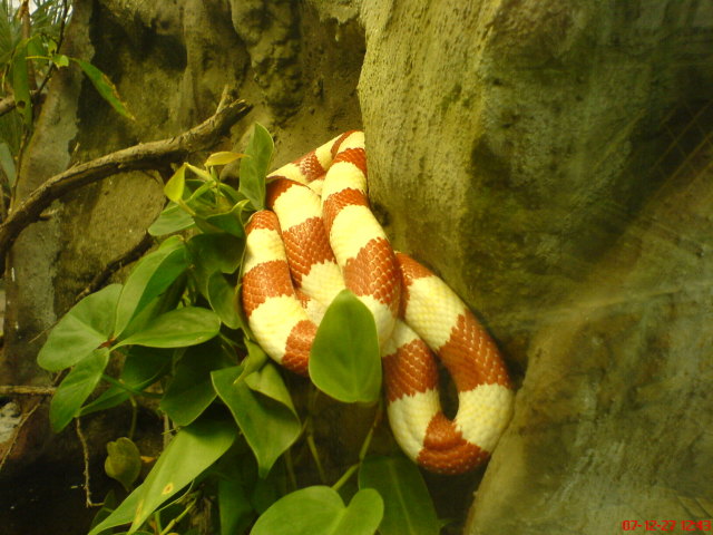 Scaled image dsc05639.jpg 