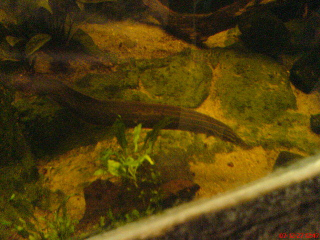 Scaled image dsc05646.jpg 