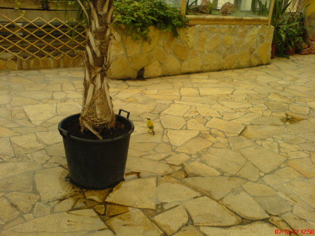 Scaled image dsc05650.jpg 