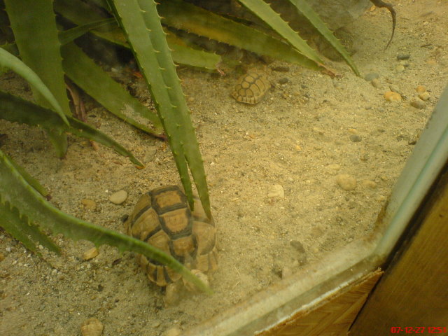 Scaled image dsc05652.jpg 