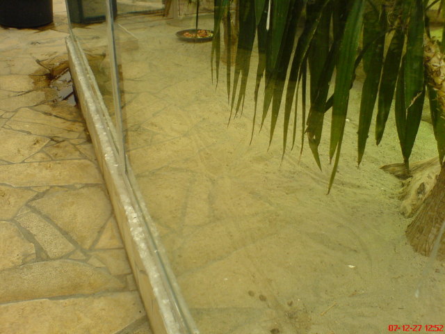 Scaled image dsc05653.jpg 