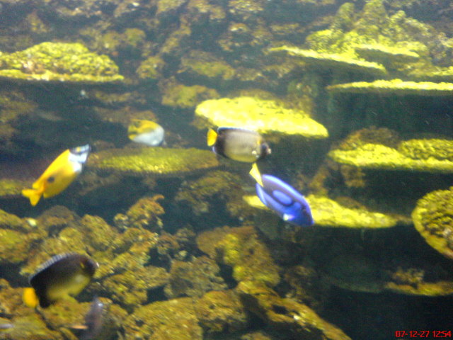 Scaled image dsc05655.jpg 