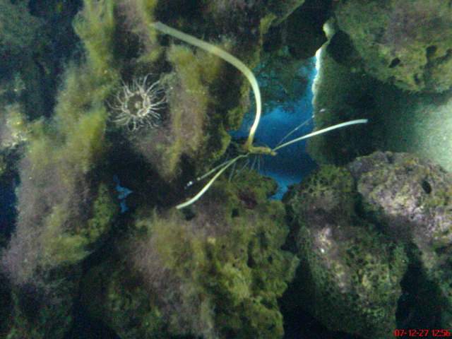 Scaled image dsc05656.jpg 