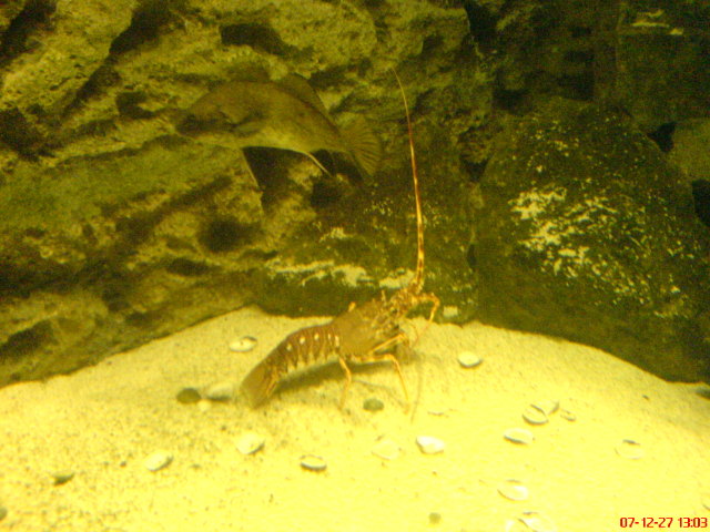 Scaled image dsc05660.jpg 