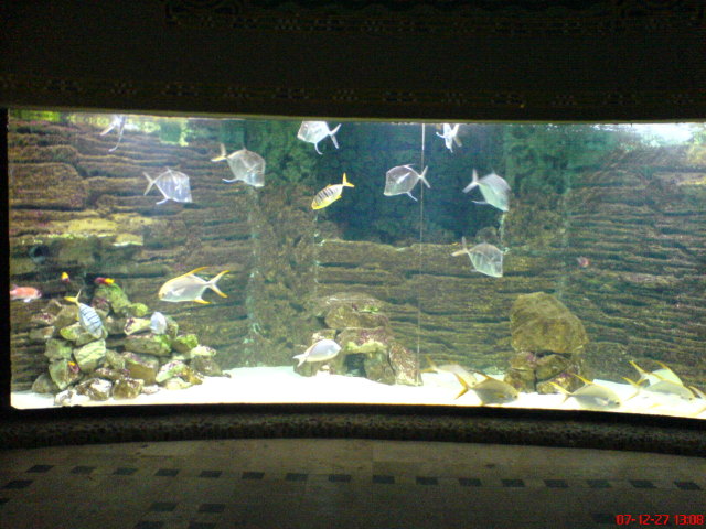 Scaled image dsc05662.jpg 