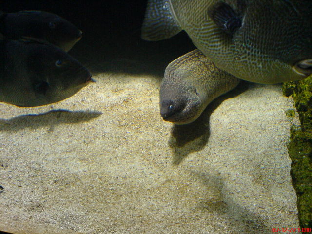 Scaled image dsc05663.jpg 