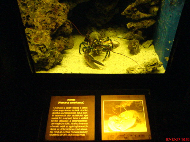 Scaled image dsc05664.jpg 