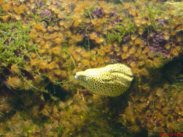 Scaled image dsc05665.jpg 