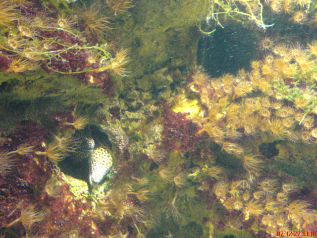 Scaled image dsc05666.jpg 