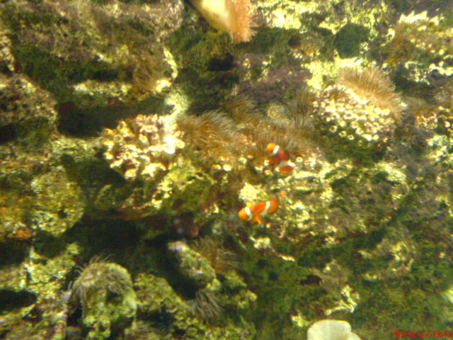 Scaled image dsc05667.jpg 