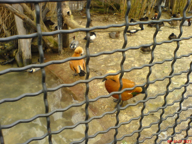 Scaled image dsc05671.jpg 