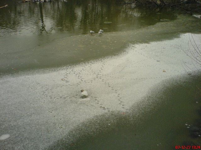 Scaled image dsc05677.jpg 