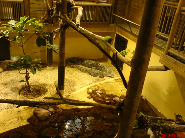 Scaled image dsc05678.jpg 