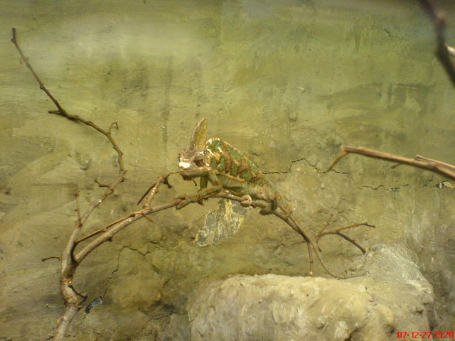 Scaled image dsc05679.jpg 