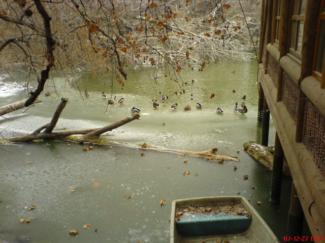 Scaled image dsc05681.jpg 