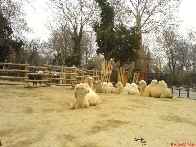 Scaled image dsc05688.jpg 