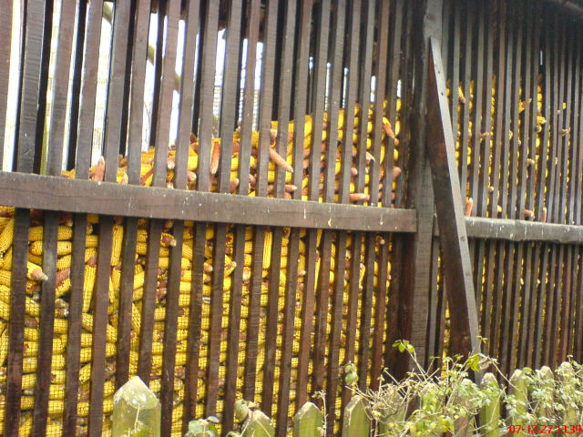 Scaled image dsc05693.jpg 