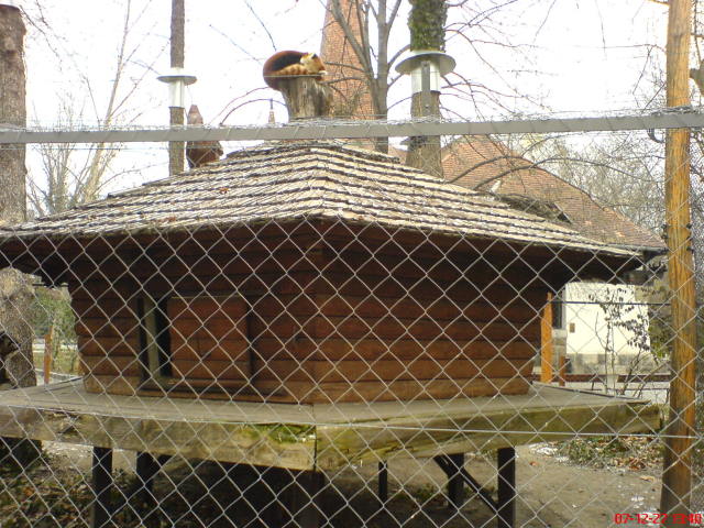 Scaled image dsc05694.jpg 