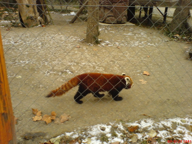 Scaled image dsc05697.jpg 