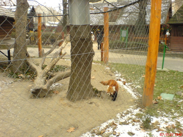 Scaled image dsc05698.jpg 