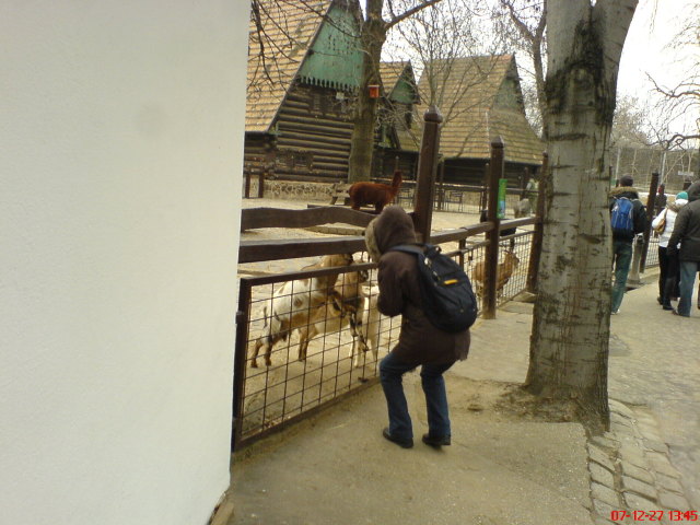 Scaled image dsc05700.jpg 