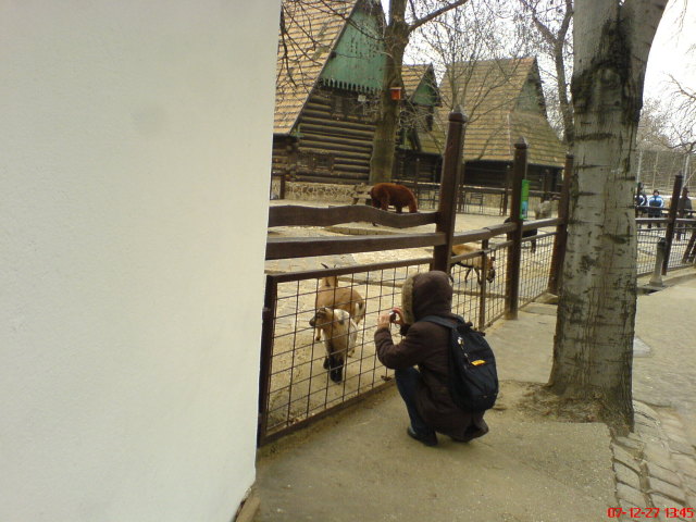 Scaled image dsc05701.jpg 