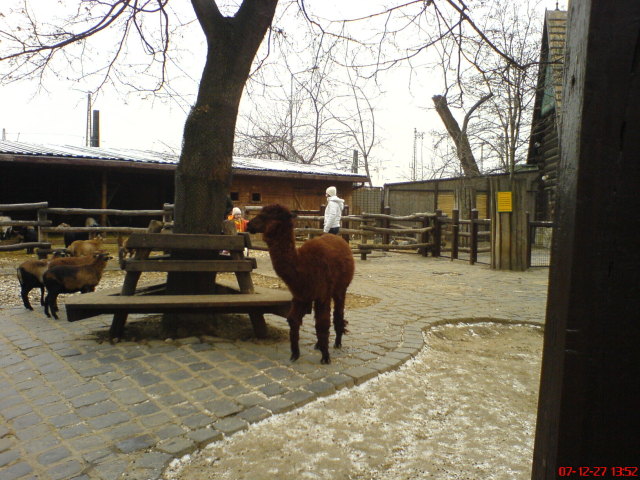 Scaled image dsc05702.jpg 