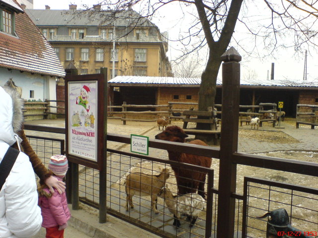 Scaled image dsc05704.jpg 