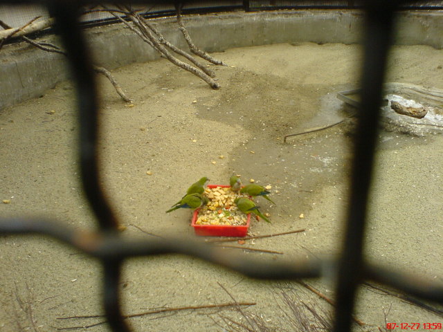 Scaled image dsc05707.jpg 