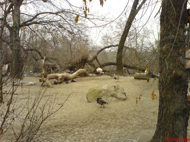 Scaled image dsc05712.jpg 