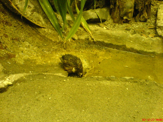 Scaled image dsc05714.jpg 