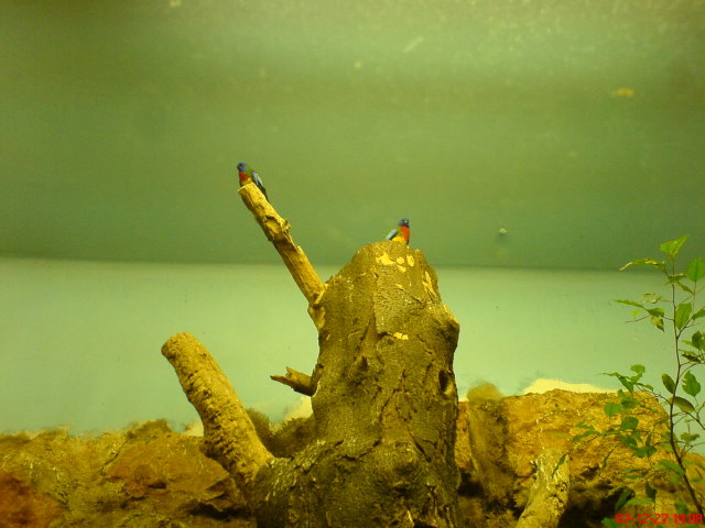 Scaled image dsc05715.jpg 