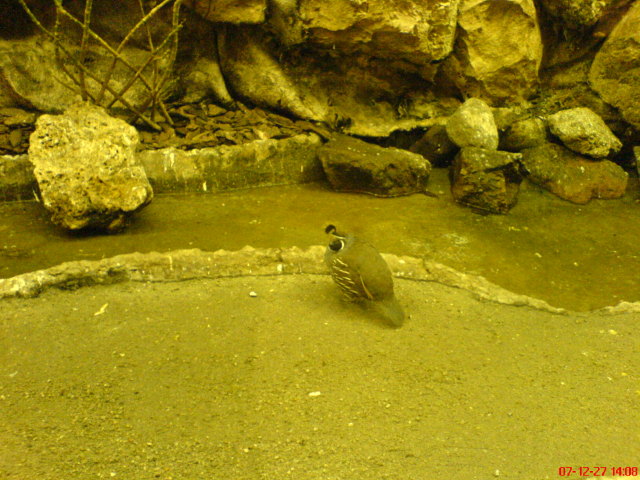 Scaled image dsc05716.jpg 